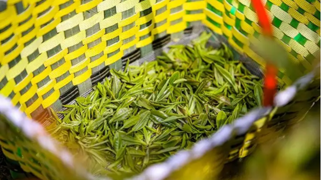 越南：擴大萊州茶對中東、北非和南亞的出口潛力