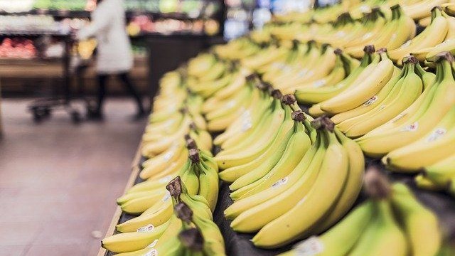 玻利維亞上半年香蕉出口增加 國(guó)內(nèi)種植戶為何陷入危機(jī)？