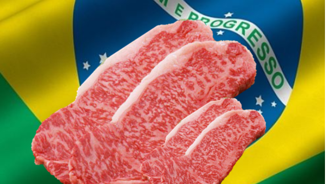 對華牛肉出口暫停 巴西政府及企業(yè)保持樂觀、積極應(yīng)對