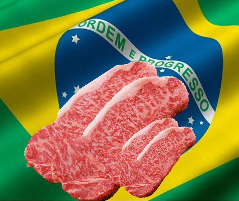 微信截圖_20230227084658